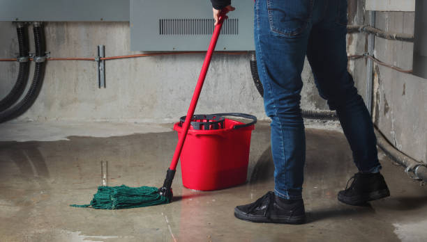 Water damage restoration insurance claims in Sudley, VA